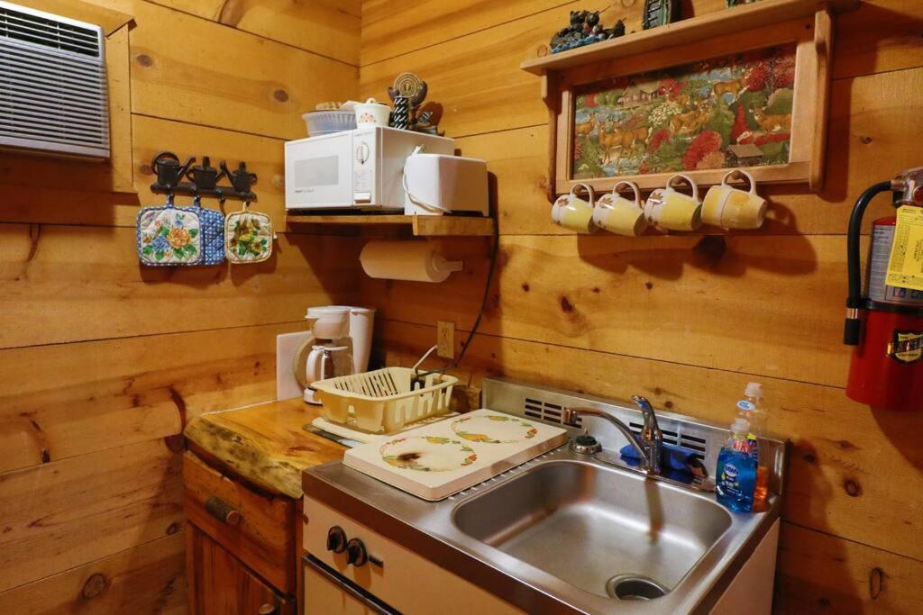 Cute Updated Mountain Cabin Fireplace #3 Гелен Екстер'єр фото