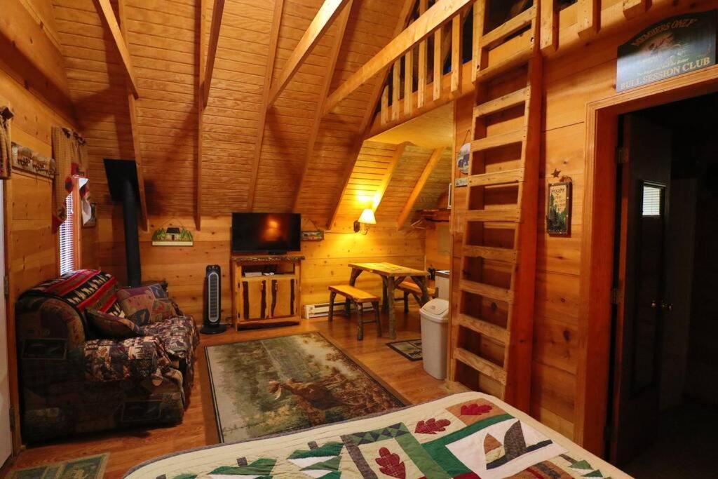 Cute Updated Mountain Cabin Fireplace #3 Гелен Екстер'єр фото